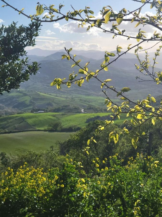 Ancient Stone 'Casa Rosa'- Sea And Mountain View Tranquil Borgo Villa Tavenna Exterior foto